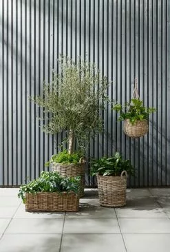 Trädgårdskruka SANSEBIE Ø40/50 2 St/set 7 Trädgårdskruka SANSEBIE Ø40/50 2 St/set -Utemöbler affär 149781