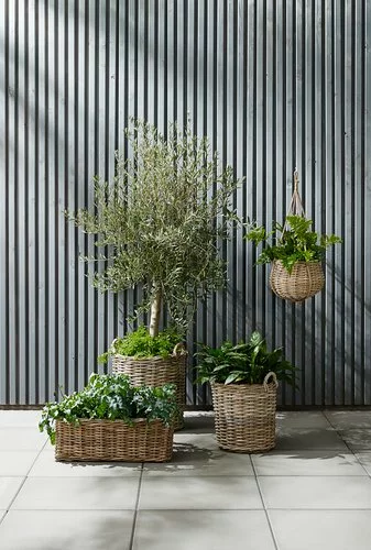 Trädgårdskruka SANSEBIE Ø40/50 2 St/set 5 Trädgårdskruka SANSEBIE Ø40/50 2 St/set - Bild 3