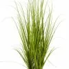 Konstväxt MARKUSFLUE H150cm Gräs 2 Konstväxt MARKUSFLUE H150cm Gräs -Utemöbler affär 199829