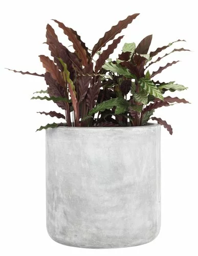 Trädgårdskruka FLUGA Ø42xH42 Grå 3 Trädgårdskruka FLUGA Ø42xH42 Grå